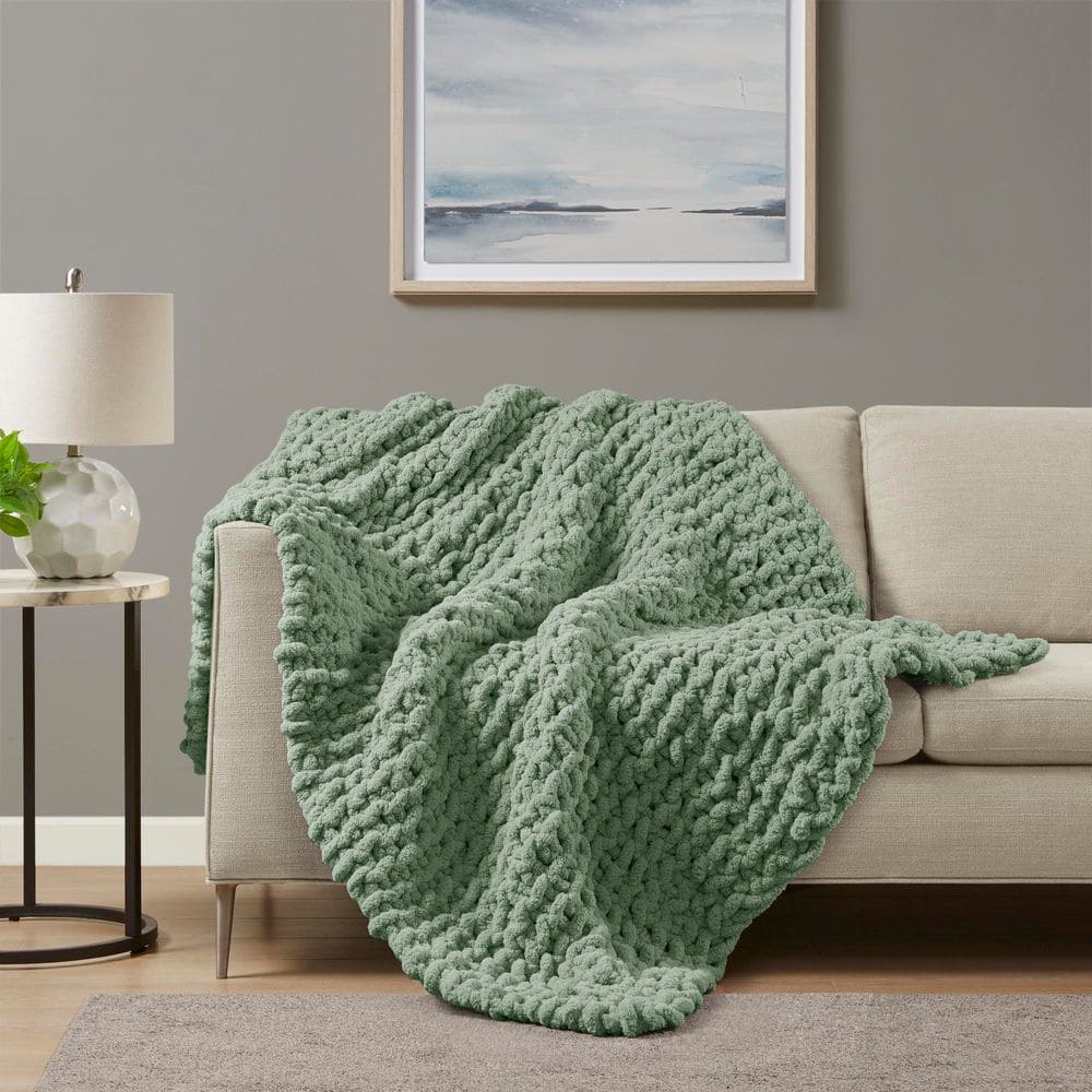 Chenille Chunky Knit Sage Green Polyester Throw Blanket price history on PriceWatchPro