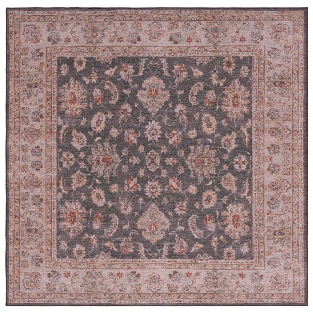 SAFAVIEH Tucson Dark Gray/Beige 6 ft. x 6 ft. Machine Washable Border