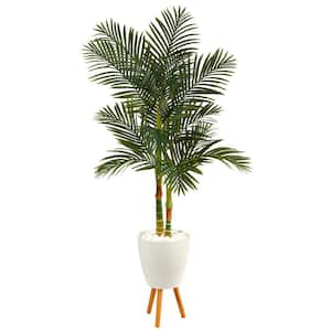 70in. Golden Cane Artificial Palm Tree in White Planter with Stand