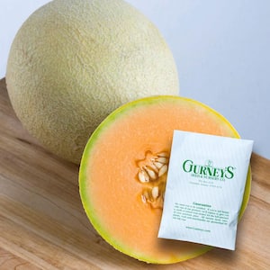 Melon Sarah's Choice Hybrid (20 Seed Packet)