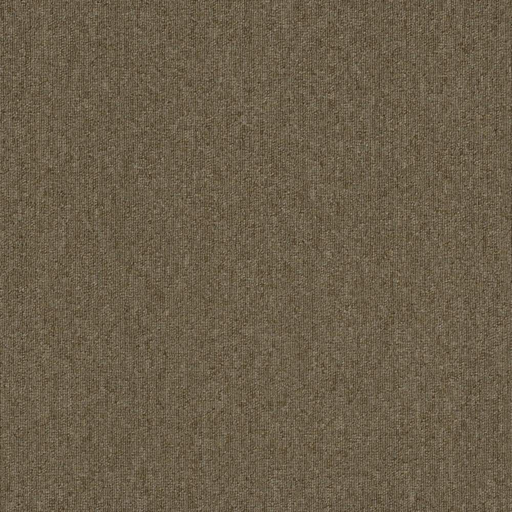 Transit - Galvan - Beige Commercial/Residential 24 x 24 in. Glue-Down Carpet Tile Square (72 sq. ft.) price history on PriceWatchPro