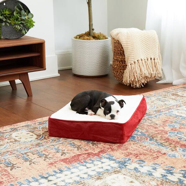 Happy hounds oscar store orthopedic dog bed