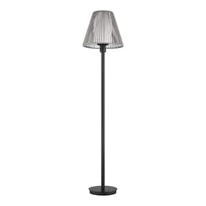 Aspenwood 61.5 in. Gray and Black Outdoor/Indoor Floor Lamp