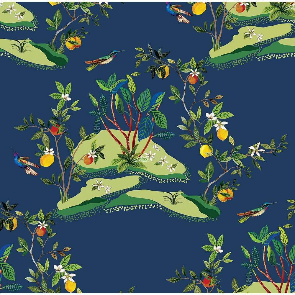 Seabrook Designs Navy Blue Citrus Hummingbird Unpasted Nonwoven Paper ...