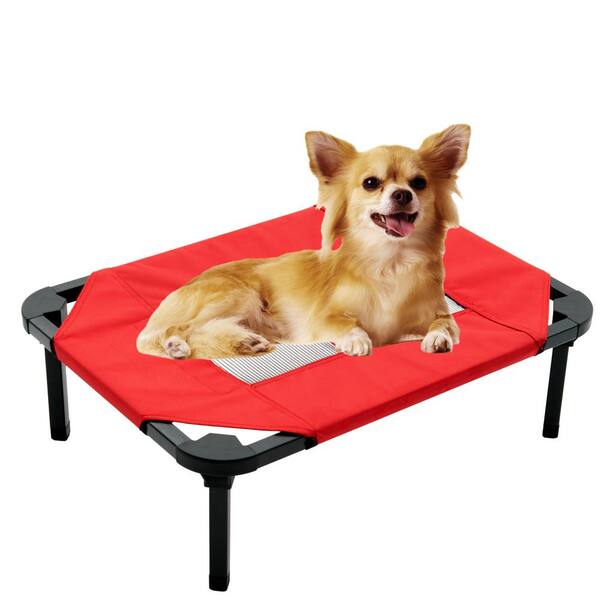 small raised dog bed