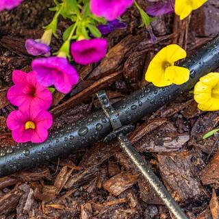 DIG Corporation Drip Line 500' | Tubo Per Irrigazione A Goccia 1/4" | Emettitori In-Line 0.52 GPH | Spaziatura 6" | Nero