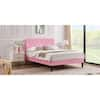 Knox Velvet Pink Upholstered Bed – WoodPeckerz Furniture