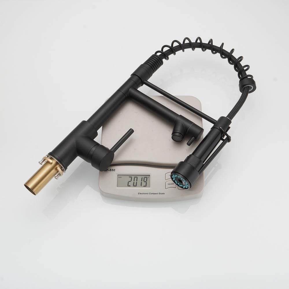Matte Black High-Arc Kitchen Faucet with Pull-Out Spray