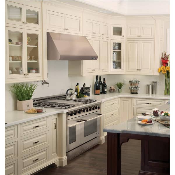 Entree Bundle 48 in. 7.2 cu. ft. Pro-Style Gas Range with Convection Oven and Range Hood in Stainless Steel and Black