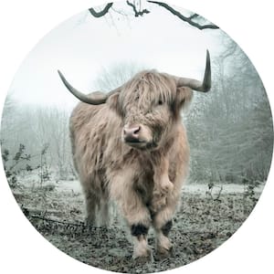 Falkirk Airdrie Abstract Peel and Stick Highland Cow Circular Wall Mural