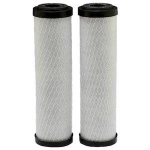 Standard Capacity Carbon Whole Home Water Filters (2-Pack)
