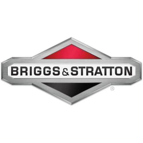 GENUINE Briggs & Stratton 697884 Carburetor Overhaul Kit 