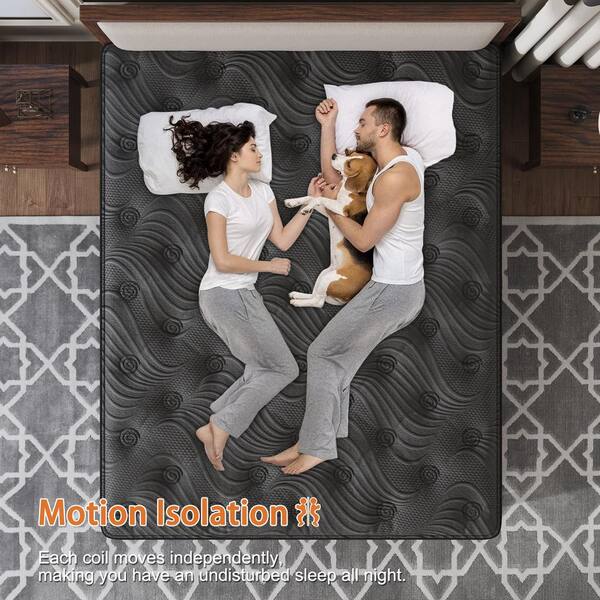 LuckyLotus Twin Medium Firm Hybrid Memory Foam 12 in. Euro Top