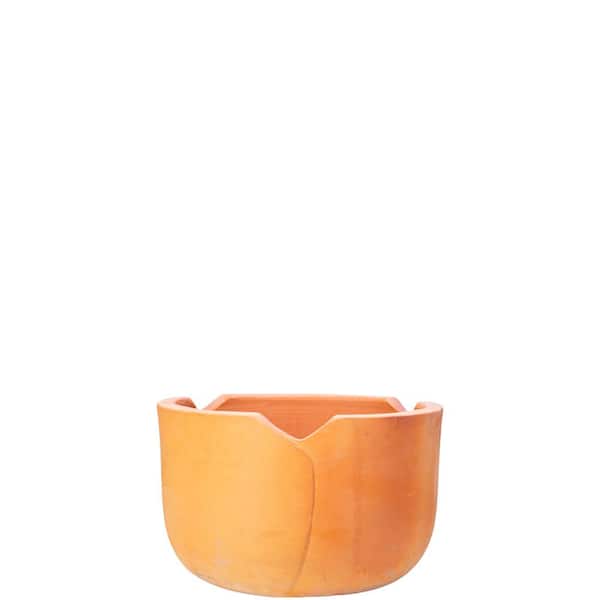 Unbranded 9 in. Flora Terracotta Planter