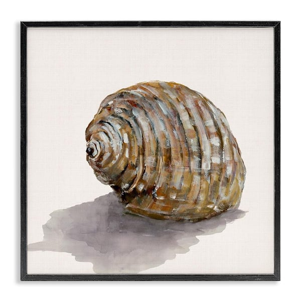 Stupell Industries Curved Seashell on Beige by Jacob Q Black Framed Coastal Giclee Art Print 24 in. x 24 in.