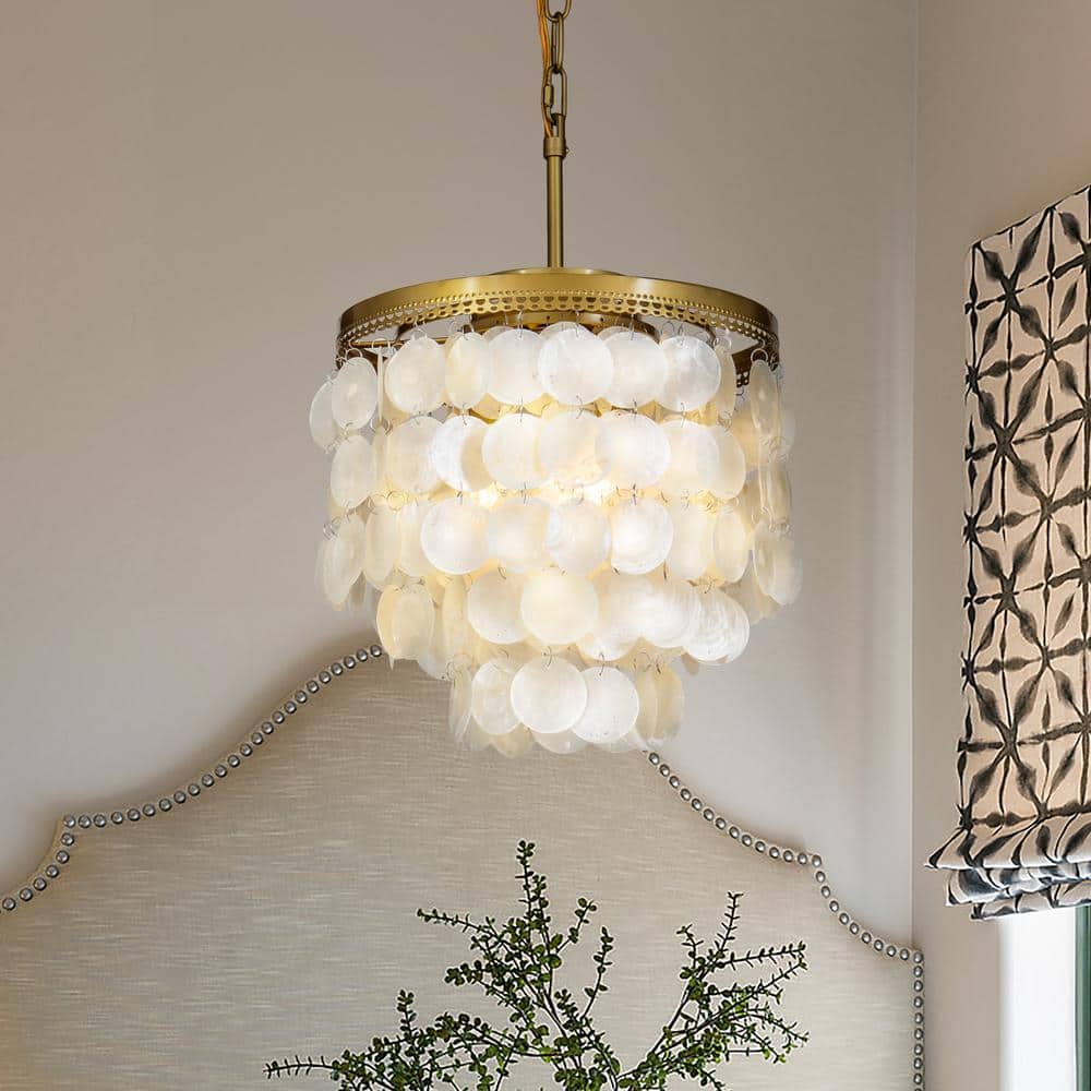 3-Light 13 in. Small Coastal Seashell Chandelier in Paintd Brass Farmhouse 