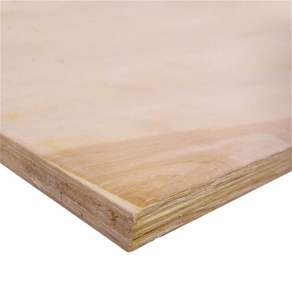 ProWood 3/4 in. x 2 ft. x 4 ft. CDX Pine Plywood