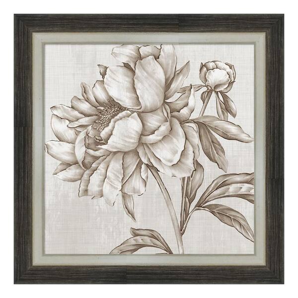 Amanti Art "Glorious Peony II" by Eva Watts Framed Canvas Wall Art