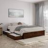 AFI Barcelona Walnut Brown Solid Wood Frame Queen Panel Platform Bed with Storage Drawers AR7888144