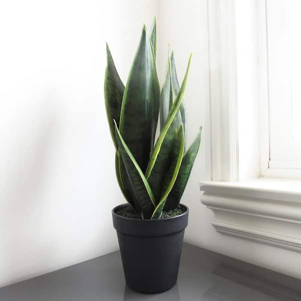 LIVING LUXURY 16 in. Sansevieria Artificial Snake Plant in Black Pot