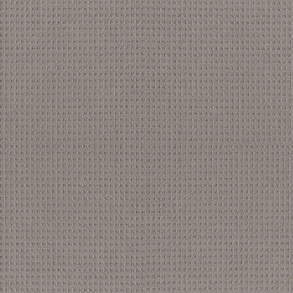 8 in. x 8 in. Loop Carpet Sample - Snug and Stylish - Color Shade price history on PriceWatchPro