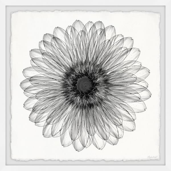 Unbranded "Elegant Sunflower" by Marmont Hill Framed Nature Art Print 32 in. x 32 in.
