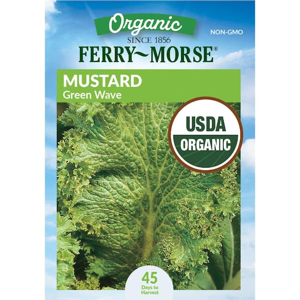 Organic Mustard Green Wave Vegetable Seed