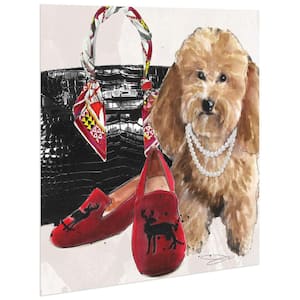 "Golden Doodle" Unframed Free Floating Tempered Glass Panel Graphic Dog Animal Wall Art Print 20 in. x 20 in.