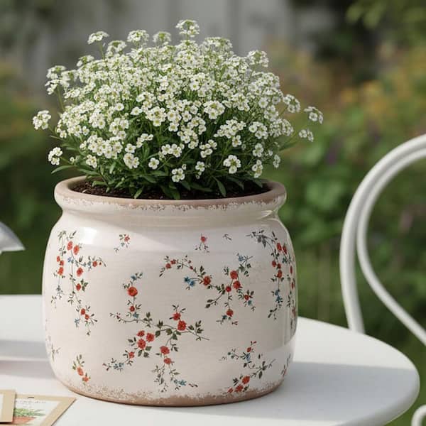 Unbranded Large Red Ceramic Indoor/Outdoor Planter (6.3 in. W x 5.1 in. H)  L0DKCVLRQ2