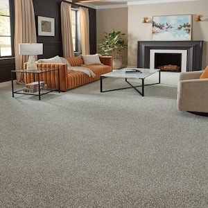 Household Hues II Silvered Gray 41 oz. Polyester Textured Installed Carpet