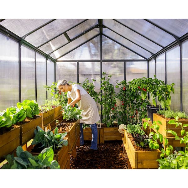 CANOPIA by PALRAM Glory 8 ft. x 8 ft. Gray/Diffused DIY Greenhouse