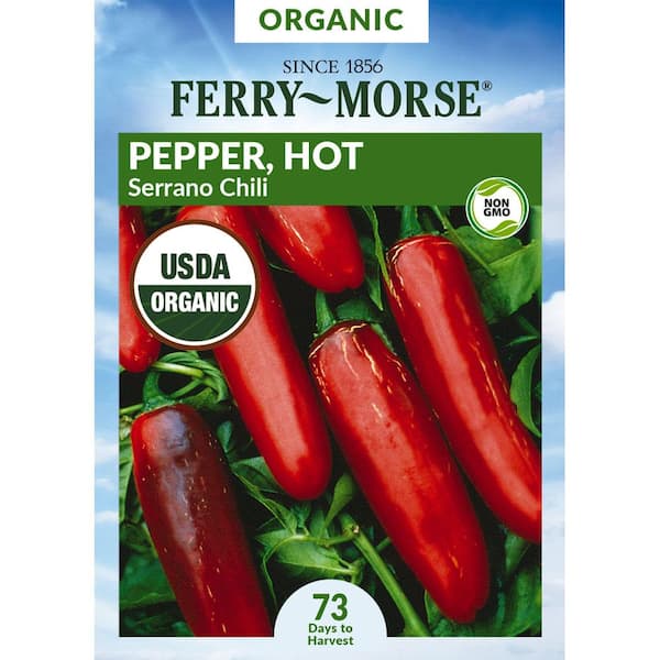 Organic Pepper Serrano Fruit Seed