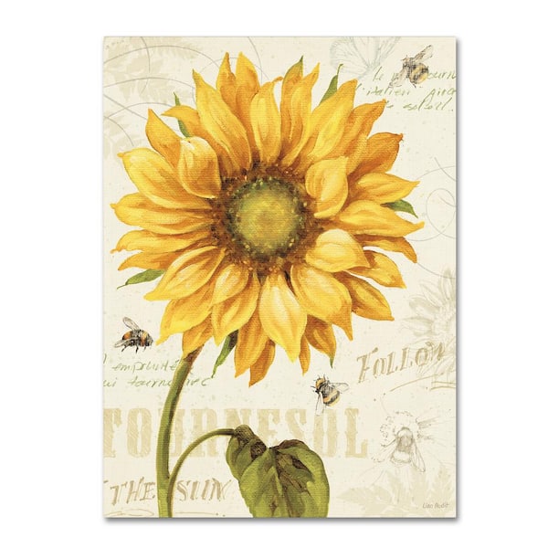 Trademark Fine Art 24 in. x 18 in. "Under the Sun I" by Lisa Audit Printed Canvas Wall Art