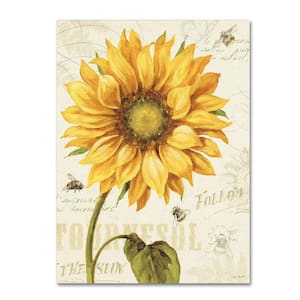 32 in. x 24 in. "Under the Sun I" by Lisa Audit Printed Canvas Wall Art