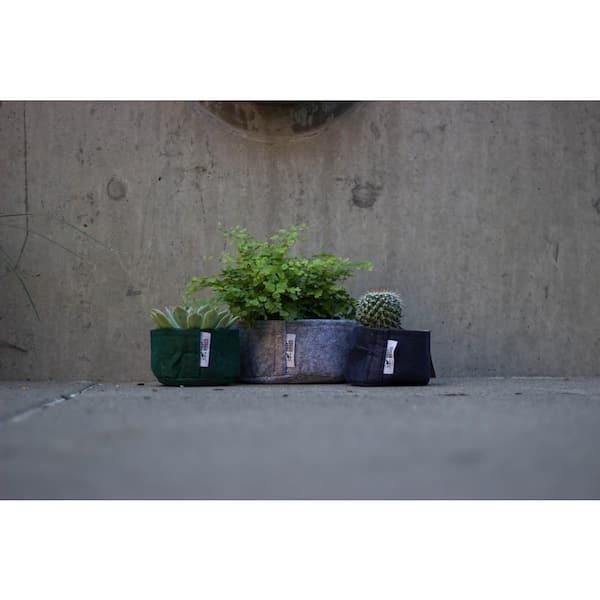 https://images.thdstatic.com/productImages/520c0c25-66cd-449b-8251-476405c707d0/svn/heather-gray-root-pouch-grow-bags-bg900-succulent-c3_600.jpg