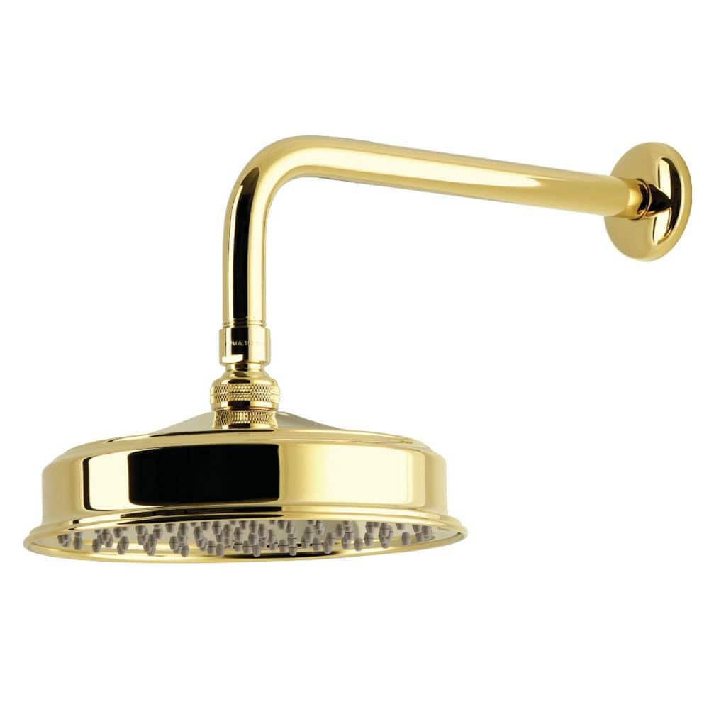 Trimscape 1-Spray Patterns 8 in. Wall Mount Rain Spray Fixed Shower Head with Shower Arm & Flange in Polished Brass price history on PriceWatchPro