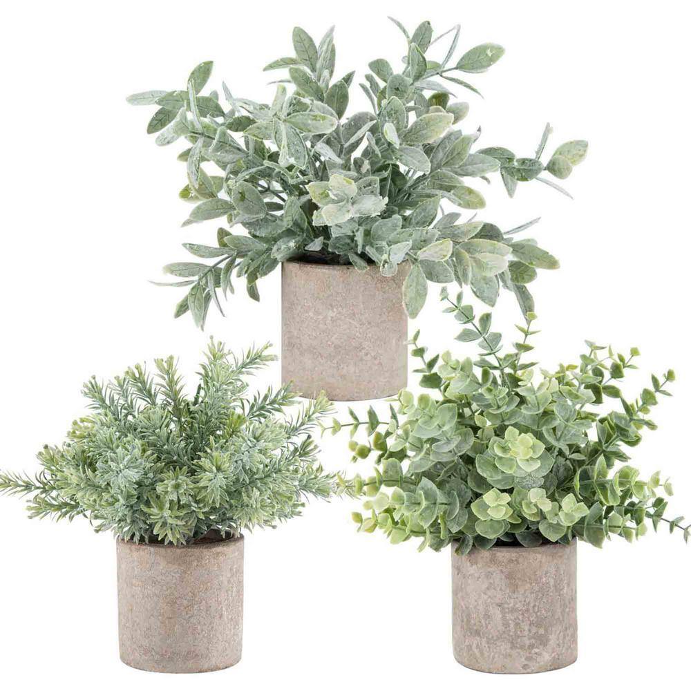 10 in. Mini Artificial Eucalyptus in Pot Set of 3