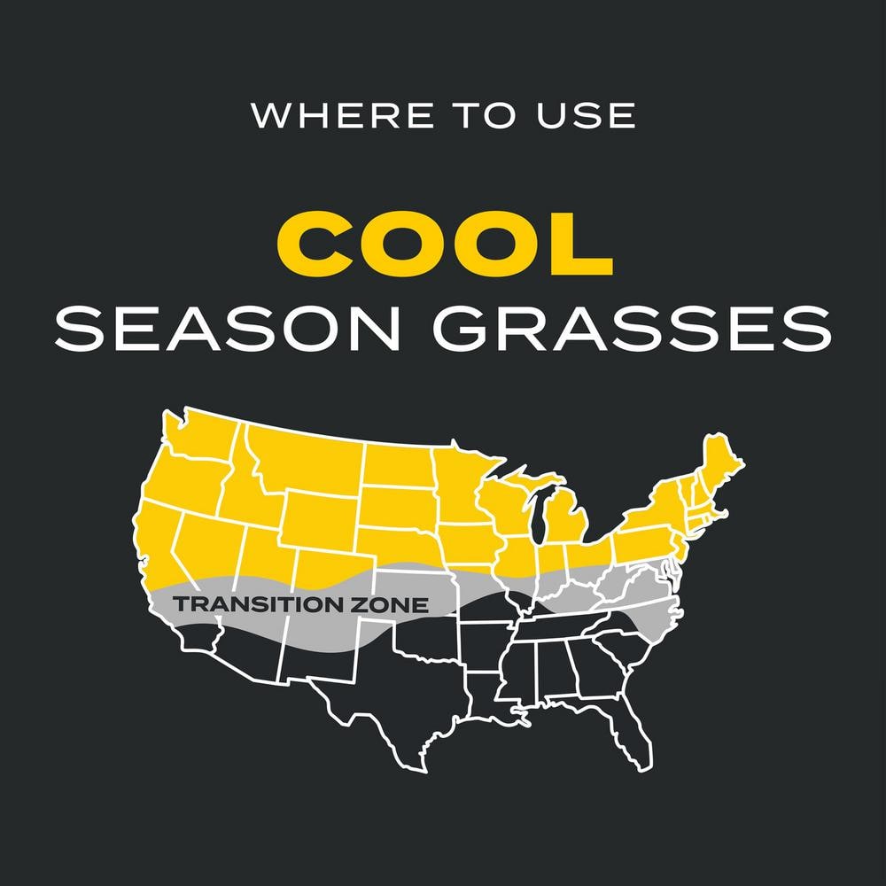 Imagen de producto 6