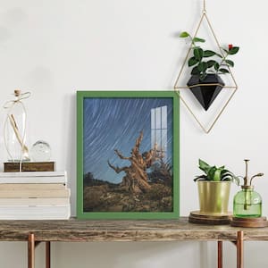 Modern 11 in. x 14 in. Green Picture Frame (Set of 2)