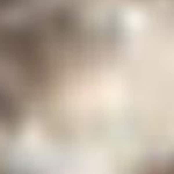 2 ft. x 7 ft. White Medallion Washable Runner Area Rug