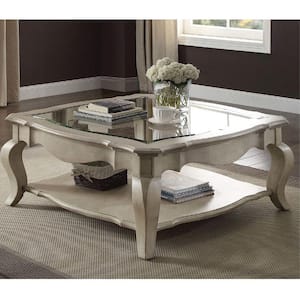 Mariana 42 in. Antique Taupe Clear Square Glass Coffee Table with Shelves