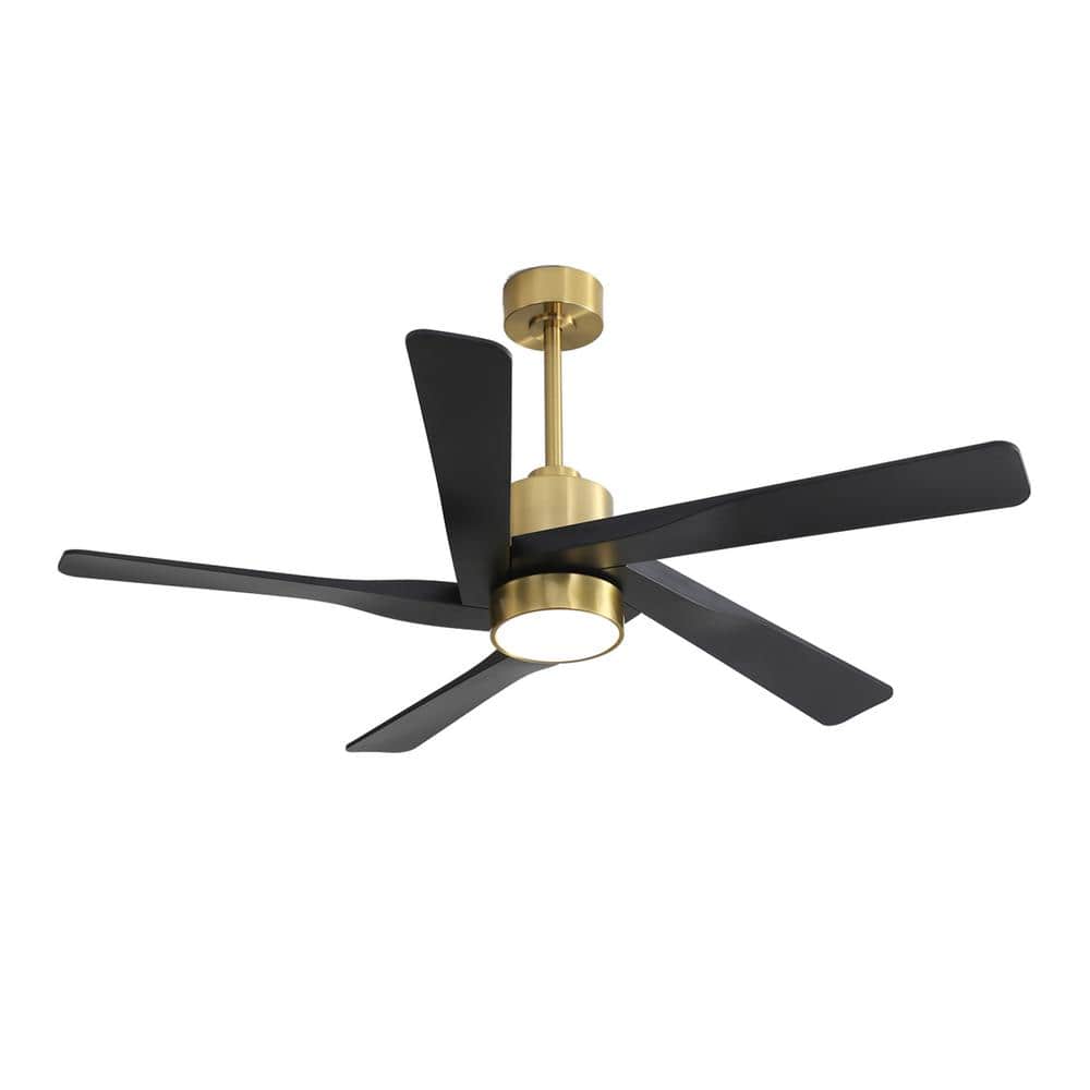WINGBO 64 in. 5 Blades 6 Fan Speeds LED Indoor Gold and Black Smart