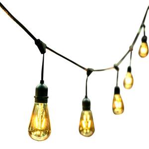 48 ft. 24 Oversized Edison Light Bulbs Black/Gold All Weather LED String Light