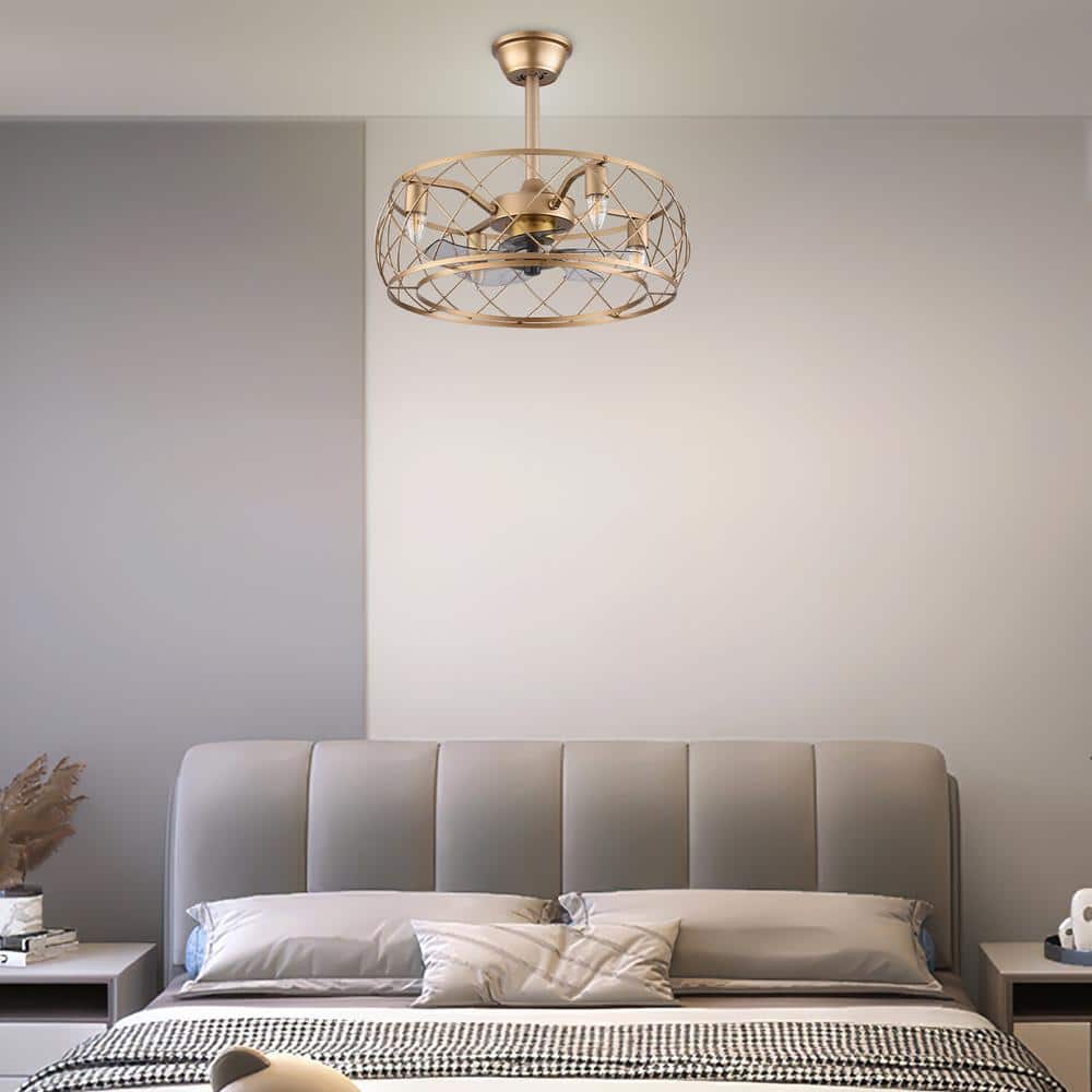 20" Gold Aluminum Caged Ceiling Fan with LED Light and Remote