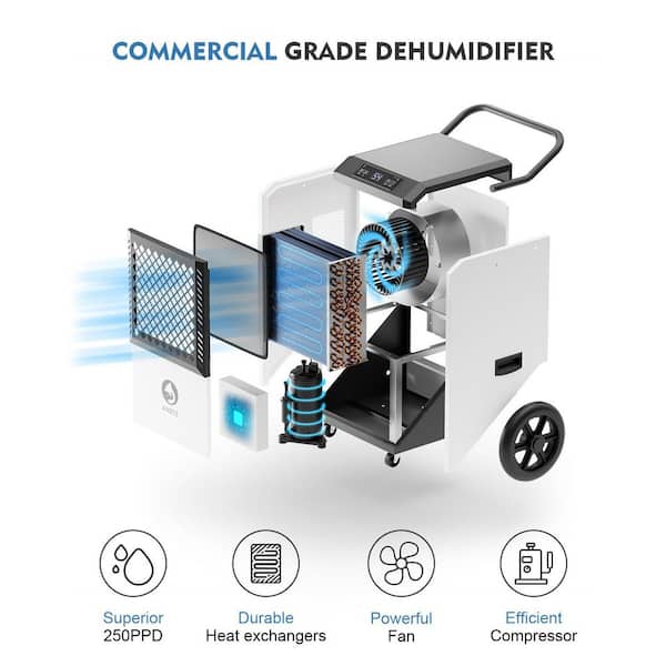 250 pt. 8,000 sq.ft. Heavy Duty Quiet Dehumidifier in White, with Pump and Drain Hose for Basement, Garge, Auto Defrost