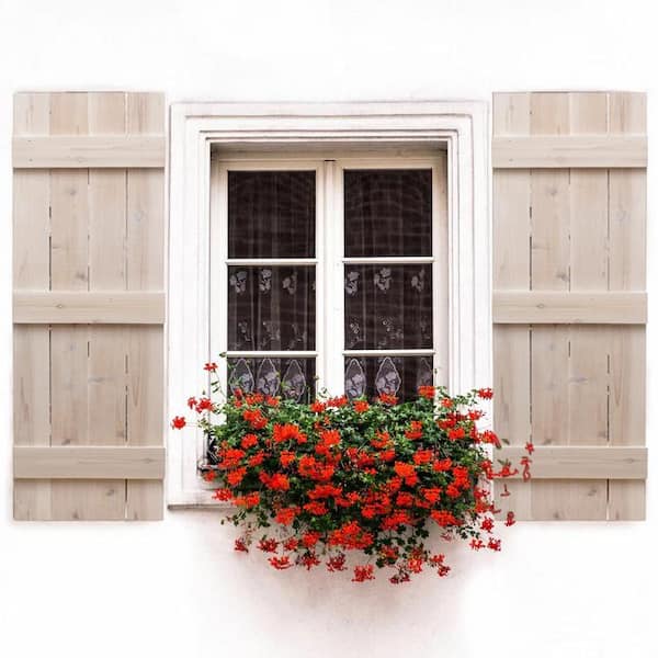 14'' Board & Batten Shutters Dogberry...