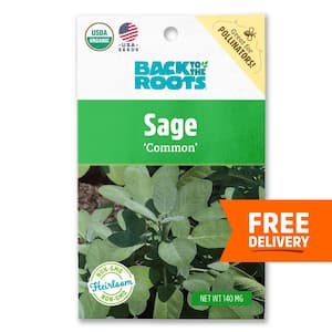 Organic Common Sage Seed (1-Pack)