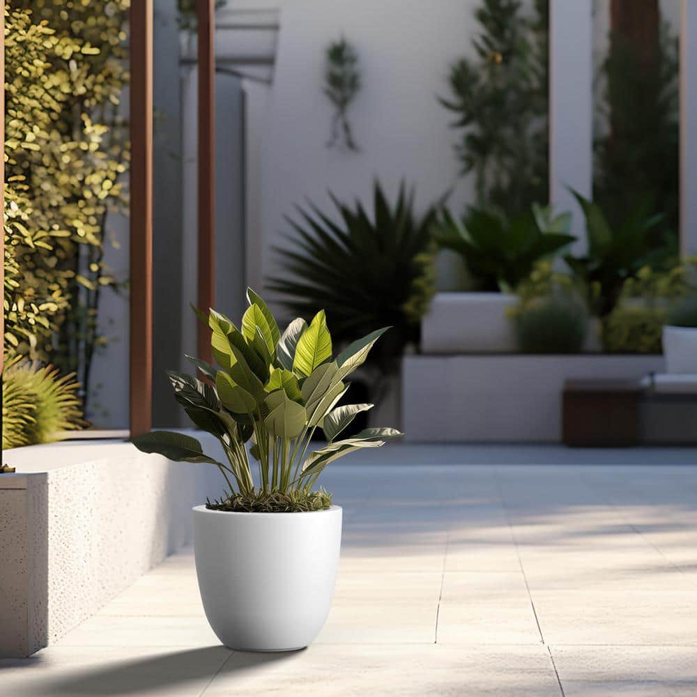 Lightweight 10 in. x 9.5 in. Crisp White Extra Large Tall Round Concrete Plant Pot/Planter for Indoor and Outdoor price history on PriceWatchPro