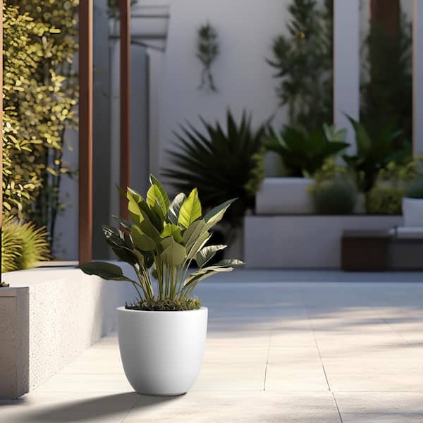 Sapcrete Lightweight 10 in. x 9.5 in. Crisp White Extra Large Tall Round Concrete Plant Pot/Planter for Indoor and Outdoor