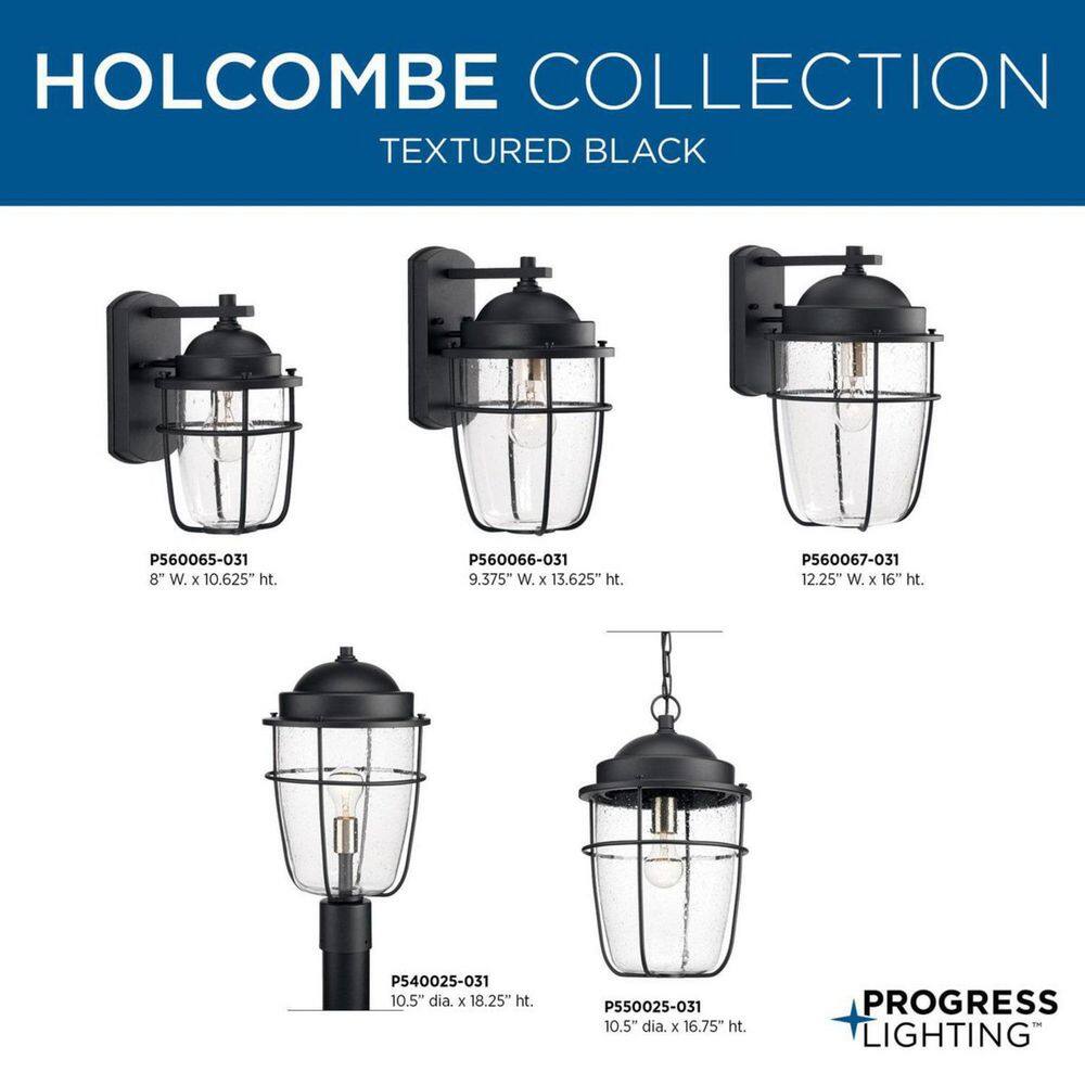 Holcombe Black Aluminum Wall Lantern with Seeded Glass